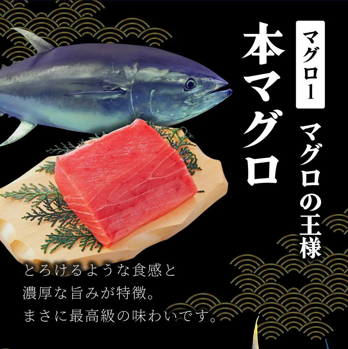 OK001-4 本マグロ1kg 岡水産