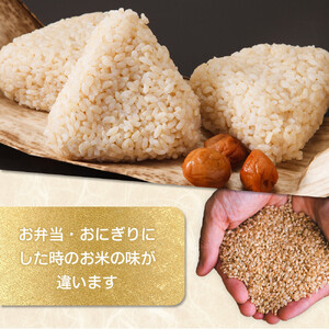 【令和7年産米 数量限定】古谷農産の無農薬・無化学肥料で栽培したコシヒカリ（玄米10キロ） ｜米 コメ  10kgコシヒカリ こしひかり 農家直送 産地直送 産直
