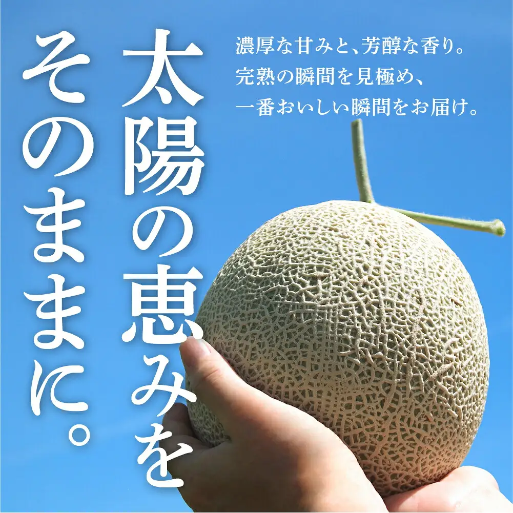 温室マスクメロン 2玉 訳あり 豊橋 メロン