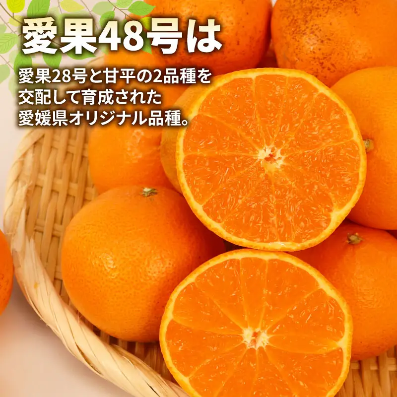 訳あり 愛果48号 ( 紅プリンセス と同品種) 5kg マル南フルーツ 紅プリンセス B015-106053