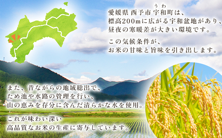 新米＜令和8年産 コシヒカリ 10kg＞国産 愛媛県産 宇和町産 宇和米 こしひかり お米 米 コメ こめ 白米 精米 ご飯 新鮮 10キロ 特産品 大塚農園 愛媛県 西予市【常温】『2026年10月・11月頃から順次発送予定』UOT0003