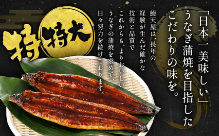 九州産 うなぎ蒲焼 特特大3尾 (1尾あたり250～266g) 合計750g以上【順次発送】