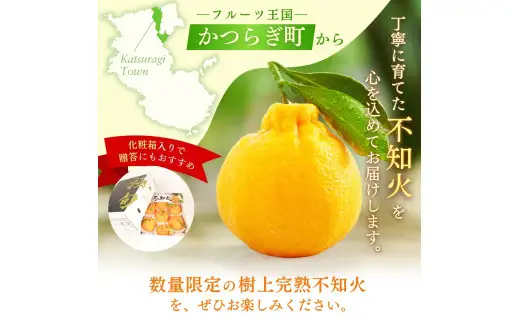 【先行予約】【数量わずか】樹上完熟しらぬい（不知火） 約2kg(6個) 秀品 / 和歌山 みかん しらぬい 不知火 フルーツ 柑橘 蜜柑 果物 くだもの ※2027年2月下旬頃～2027年3月下旬頃に順次発送予定（お届け日指定不可）【kgr005】