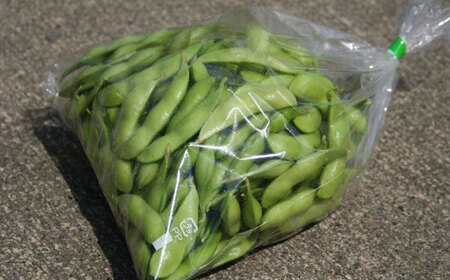 【毎年6月?8月の発送】 岐阜市特産 枝豆2kg 1袋500g×４袋 ビールやお酒のおつまみに 【配送不可地域：北海道・沖縄・離島】 料理 新鮮 採れたて 大粒 夏 あて 岐阜市 / 栗本農園