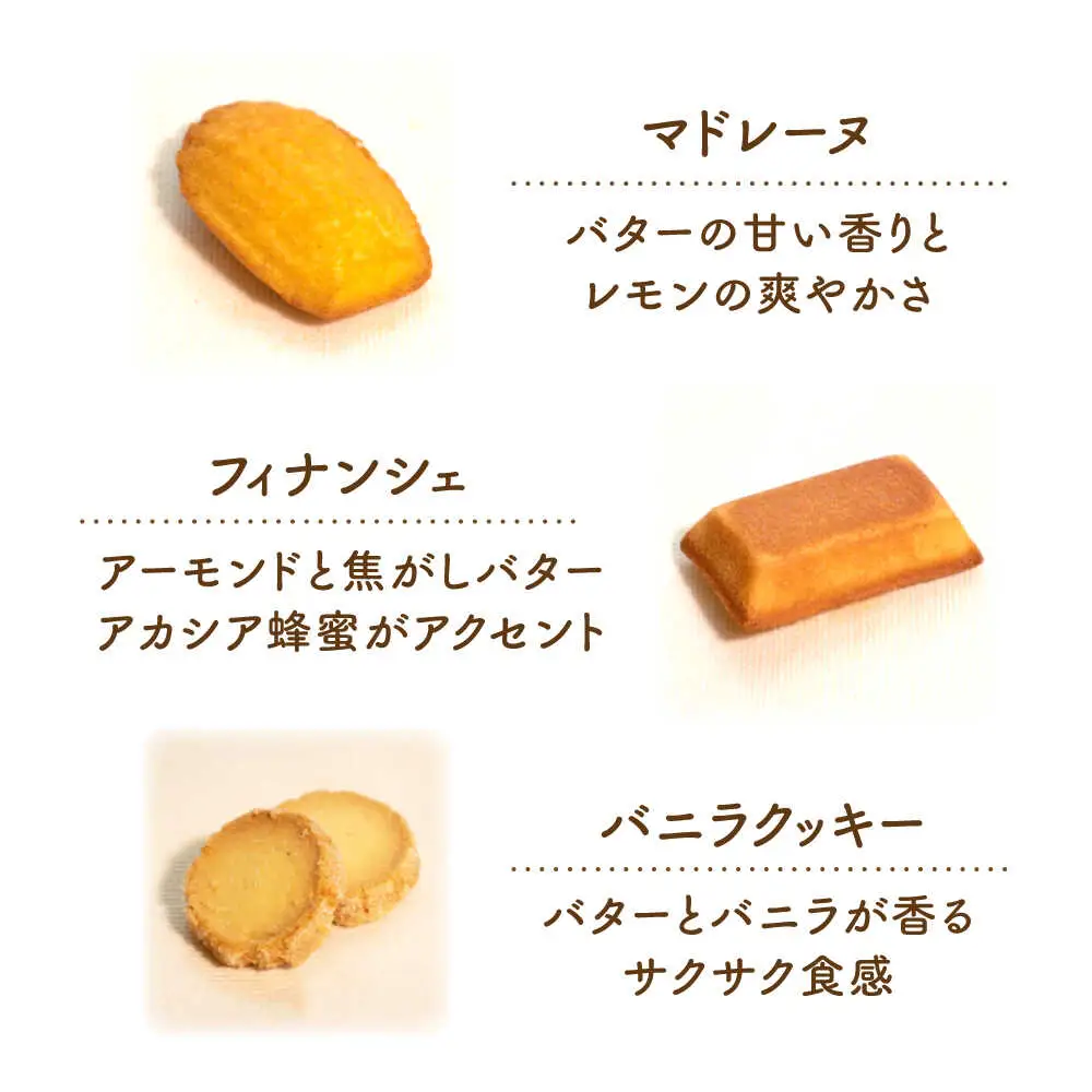 焼き菓子詰め合わせ 5個入り[AVAX005]クッキー マドレーヌ フィナンシェ