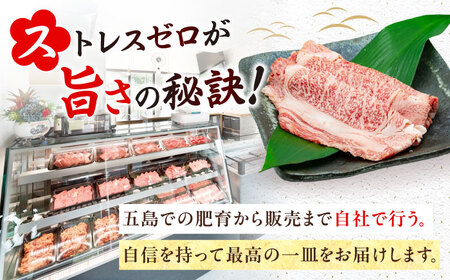 【全6回定期便】五島列島産 黒毛和牛 スジ 1kg 五島市/山口Farm[PGJ027]