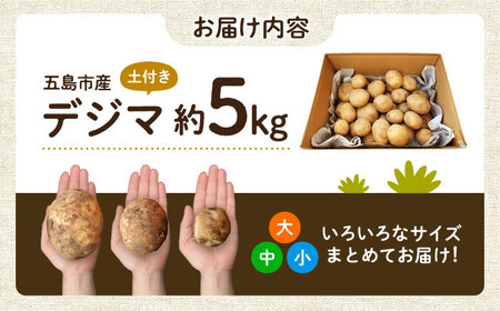 【2027年1月～4月発送】島の元気なじゃがいも!旨味抜群の『デジマ』5kg 五島市/あわたに農園[PGO004]