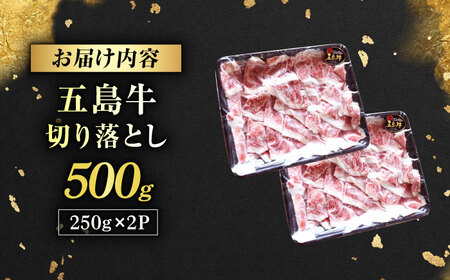 五島牛 切り落とし 500g（250g×2p） 五島市/五島牛 肉のむらおか[PGP005]