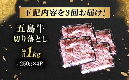 【3回定期便】五島牛 切り落とし 1kg 五島市/五島牛 肉のむらおか[PGP010]