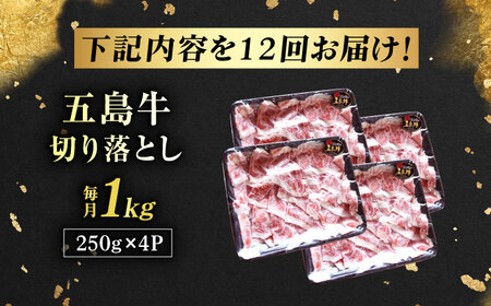 【12回定期便】五島牛 切り落とし 1kg 五島市/五島牛 肉のむらおか[PGP012]