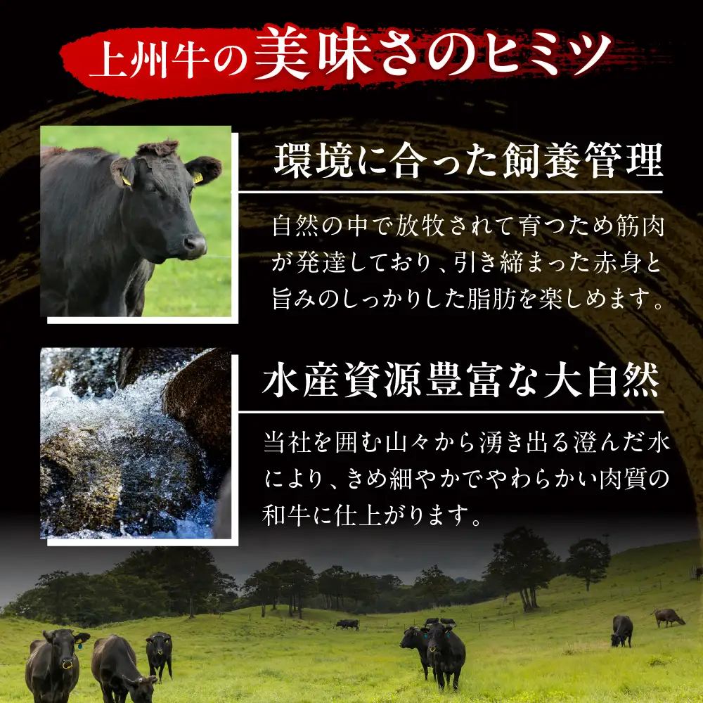 すき焼き国産牛肉 薄切り肩肉すき焼き400g 上州牛100％すき焼き