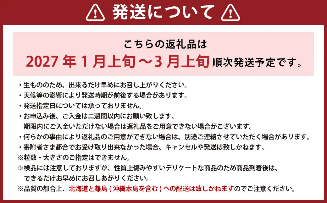 完熟あまおう 贈答用 2パック 合計約500g～820g 【2027年1月上旬～3月上旬までに出荷予定】 いちご 苺 イチゴ ベリー 果物 フルーツ お取り寄せ デザート おやつ
