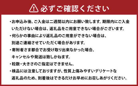 【訳あり】完熟あまおう 4パック 合計約1.1kg 【2027年1月上旬～3月上旬までに出荷予定】いちご 苺 イチゴ 果物 フルーツ