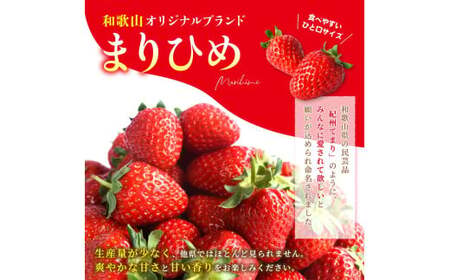 【先行予約】まりひめイチゴ4パック 食べやすいひと口サイズ M～L（15粒～20粒入×4パック）【2027年1月中旬～3月下旬頃に順次発送】（お届け日指定不可）/ いちご 苺 まりひめ 和歌山 フルーツ【kgr034】