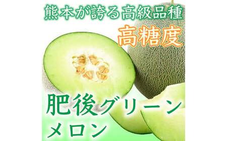 ＜ R8年熊本地震復興支援 ＞熊本県産 小玉スイカ & 肥後グリーンメロン 食べ比べ （計2玉計約3.5kg） 【2027年5月上旬迄発送予定】 小玉すいか 小玉西瓜 スイカ すいか 西瓜 メロン めろん 果物 果実 フルーツ セット 九州 熊本県 熊本市 常温