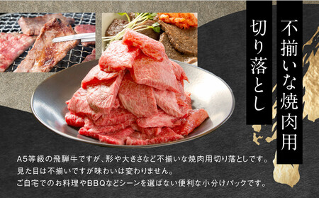 【訳あり】A5 飛騨牛 焼肉 切り落とし600g（冷凍配送）HF045｜訳あり HF045