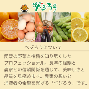 種なしピオーネ 約2kg 【2026年8月下旬頃から順次発送】 | ピオーネ ぶどう 【VEG100】