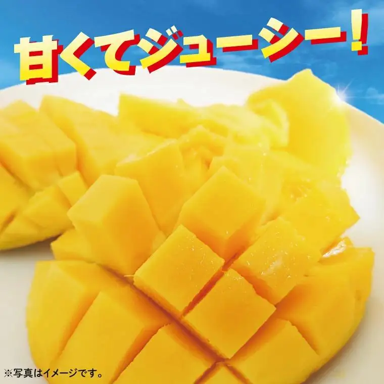 沖縄県豊見城市産アップルマンゴー 約2kg 