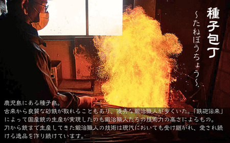 種子島 伝統工芸 種子 包丁 片刃刺身 27cm 紫檀柄　NFN621【3025pt】
