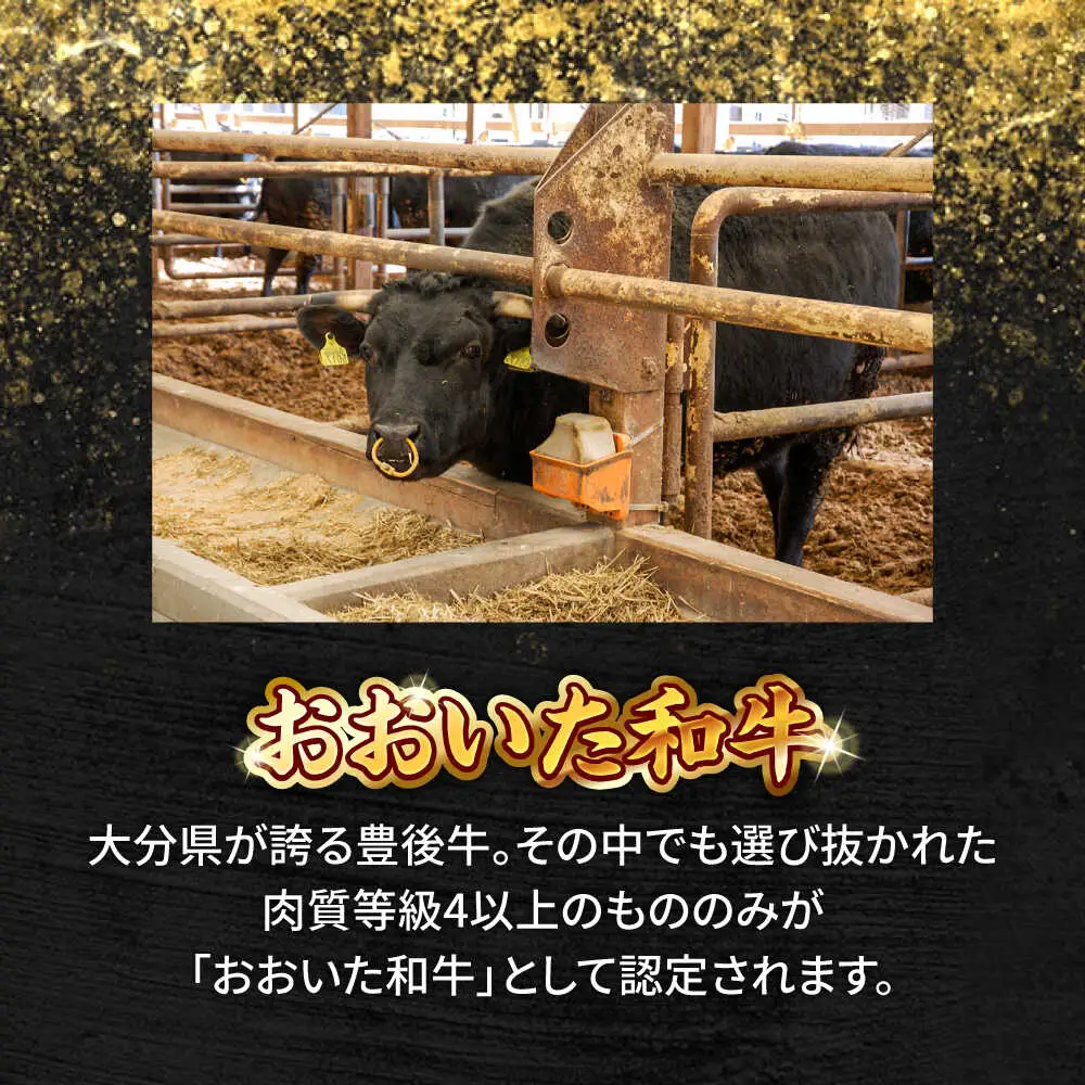 おおいた和牛 肩ローススライス 500g しゃぶしゃぶすき焼き用 A4 A5 冷凍 大分県 日田市 肩ロース 牛肉 しゃぶしゃぶ すき焼き  [ARCG006]