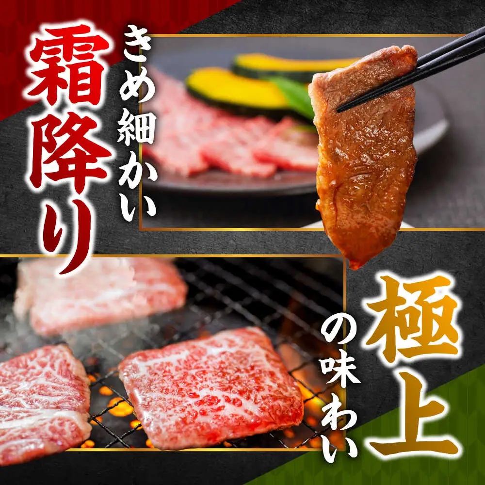 おおいた和牛 もも・バラ焼肉セット 600g(各300g) 赤身 モモ 焼肉  冷凍 豊後牛 おおいた和牛 バラ BBQ  [ARCG013]