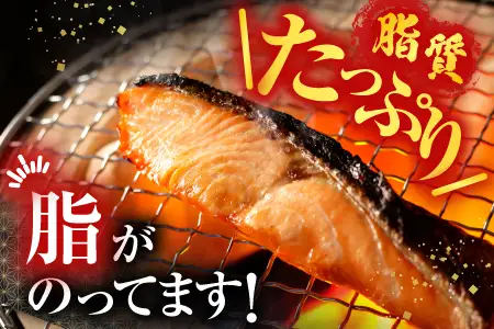 【北海道根室産】時しらず鮭切身1.5kg×1P・1切×2P F-42020