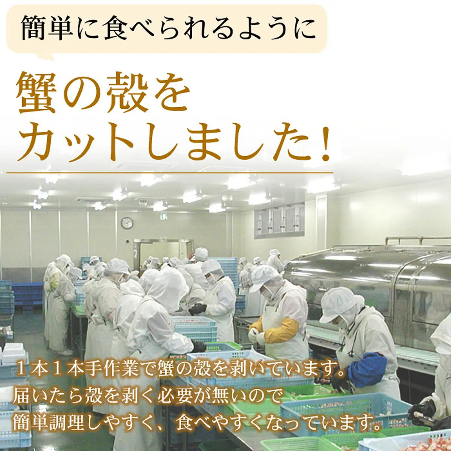【生食可・カット済・棒肉のみ】ずわいかにしゃぶ800g B-56032