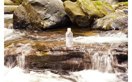【6ヶ月定期便】南小国町の天然水「サクラシリカ」500ml×16本 6ヶ月 定期便 南小国町 サクラシリカ 500ml 16本 6回 シリカ水 シリカ 飲むシリカ のむシリカ 水 天然水 ネラルウォーター ラベルレス エコ ペットボトル ケース 熊本 阿蘇 南小国町 送料無料