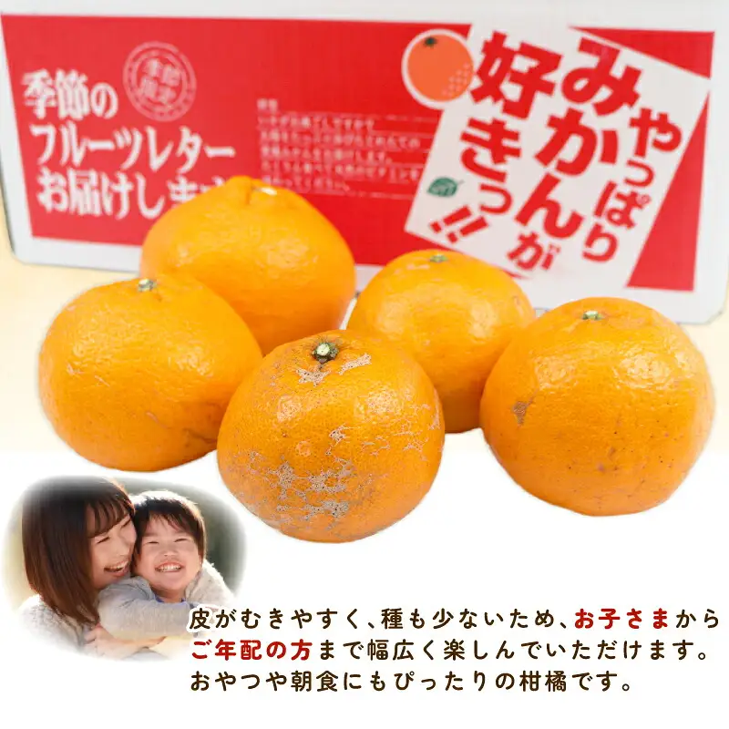 訳あり はるみ 8 ～ 9kg 誉農園 訳あり 宇和島 B010-138012