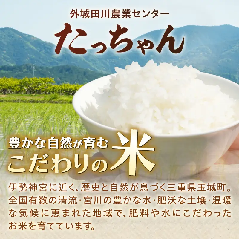 令和7年産 にじのきらめき 10kg お米 白米 精米 