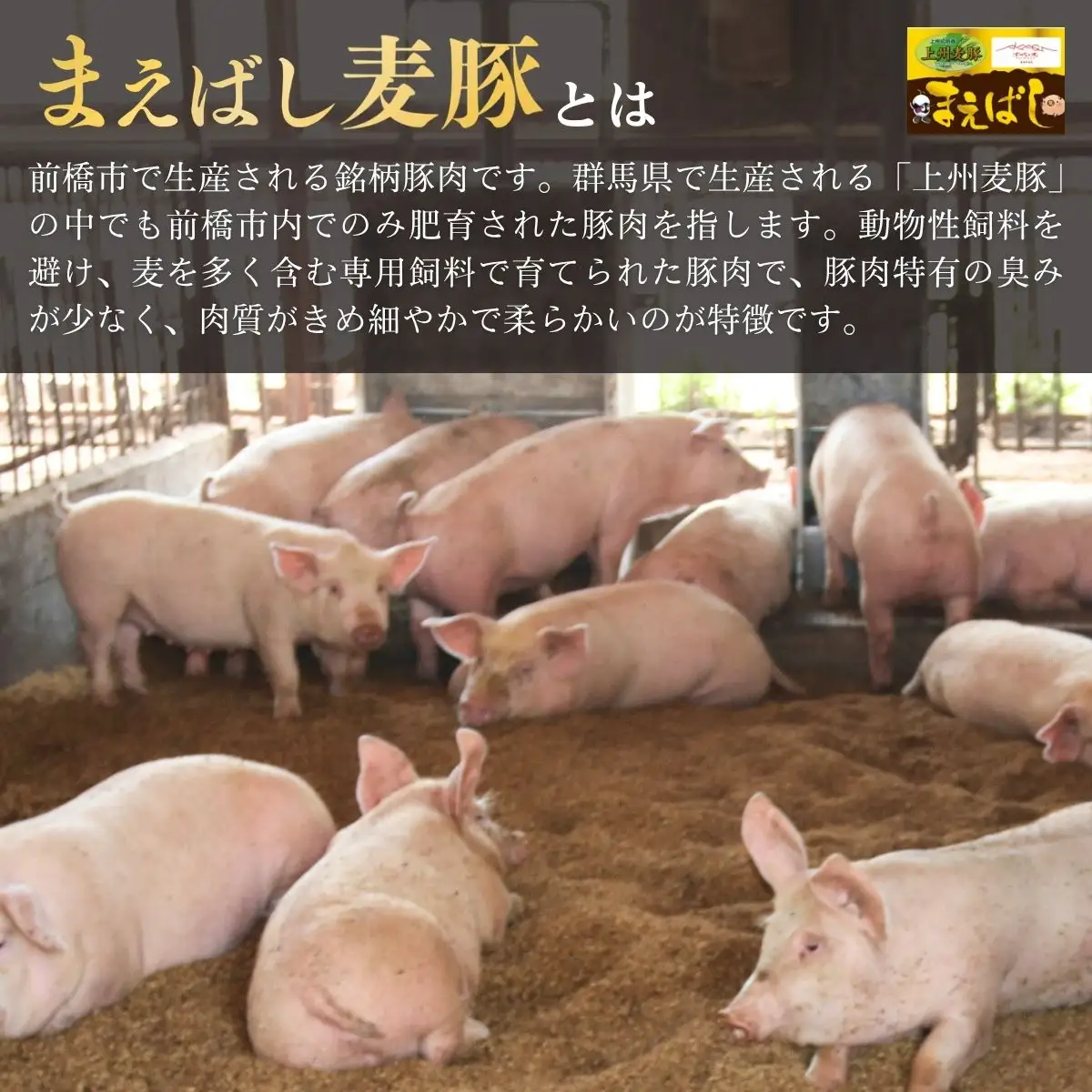 豚肉 麦豚肉 切り落とし 2.4kg 訳あり