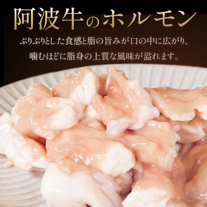 味噌ダレ ホルモン 小腸 大腸 センマイ 3種セット 阿波牛 200g×3パック 計600g 