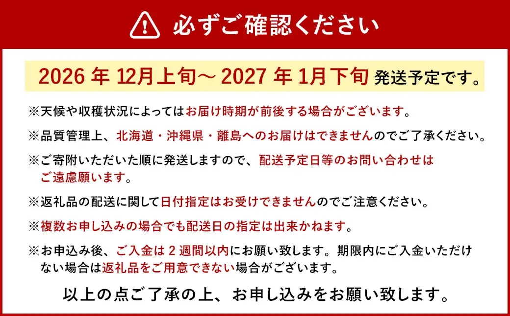 今季初採れあまおう2パック【数量限定】 あまおう いちご イチゴ 苺 果物 くだもの フルーツ【2026年12月上旬～2027年1月下旬発送予定】