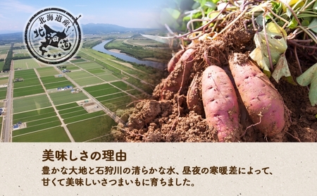 さつまいもシルクスイート新しのつ産 北海道産 さつまいも【計2kg】【送料無料】