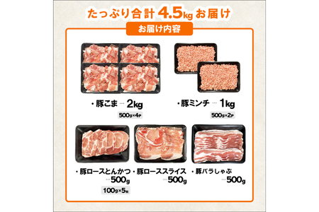 豚肉 宮崎県産豚肉 バラエティ セット 計4.5kg