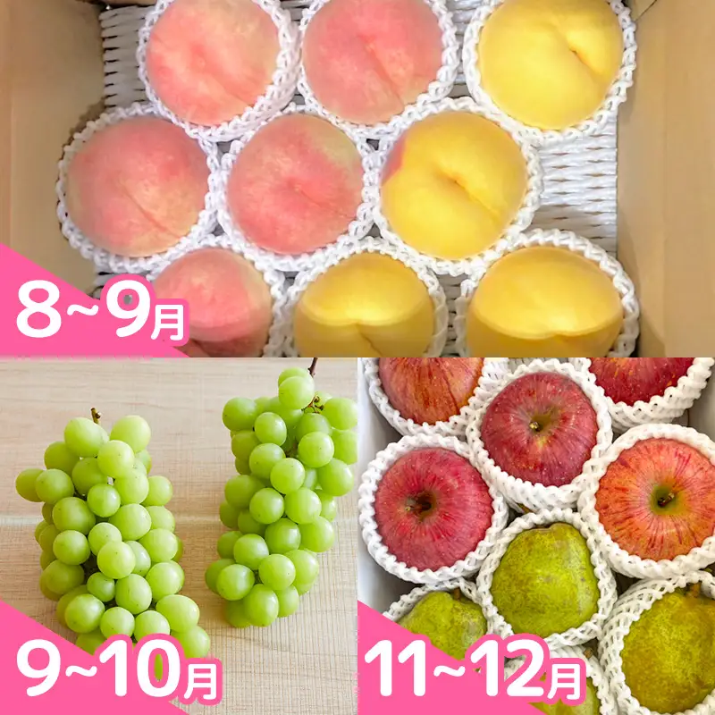 【定期便5回】明治9年にさくらんぼの栽培を開始したやまや園の嬉しい定期便 FY25-256