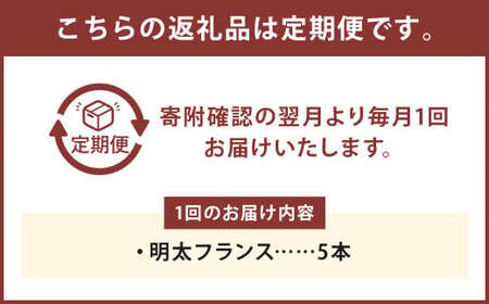 【12ヶ月定期便】明太子屋がこだわった明太フランス5本セット ／ めんたいこ 明太子 バター フランスパン 惣菜パン