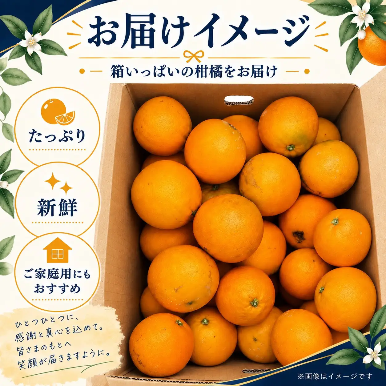 訳あり ネーブルオレンジ 約5kg サイズおまかせ アルギット オレンジ