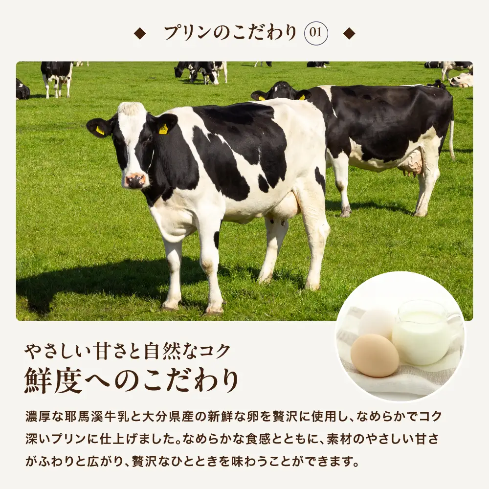 【定期便3回】 プリン詰合せ ( 90g × 12個 ) | お菓子 菓子 洋菓子 プリン ぷりん スイーツ デザート おやつ カスタードプディング 詰め合わせ セット 定期 定期便 大分県 中津市