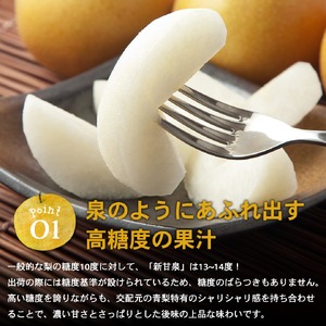 Y986 新甘泉(秀) 3L 3kg
