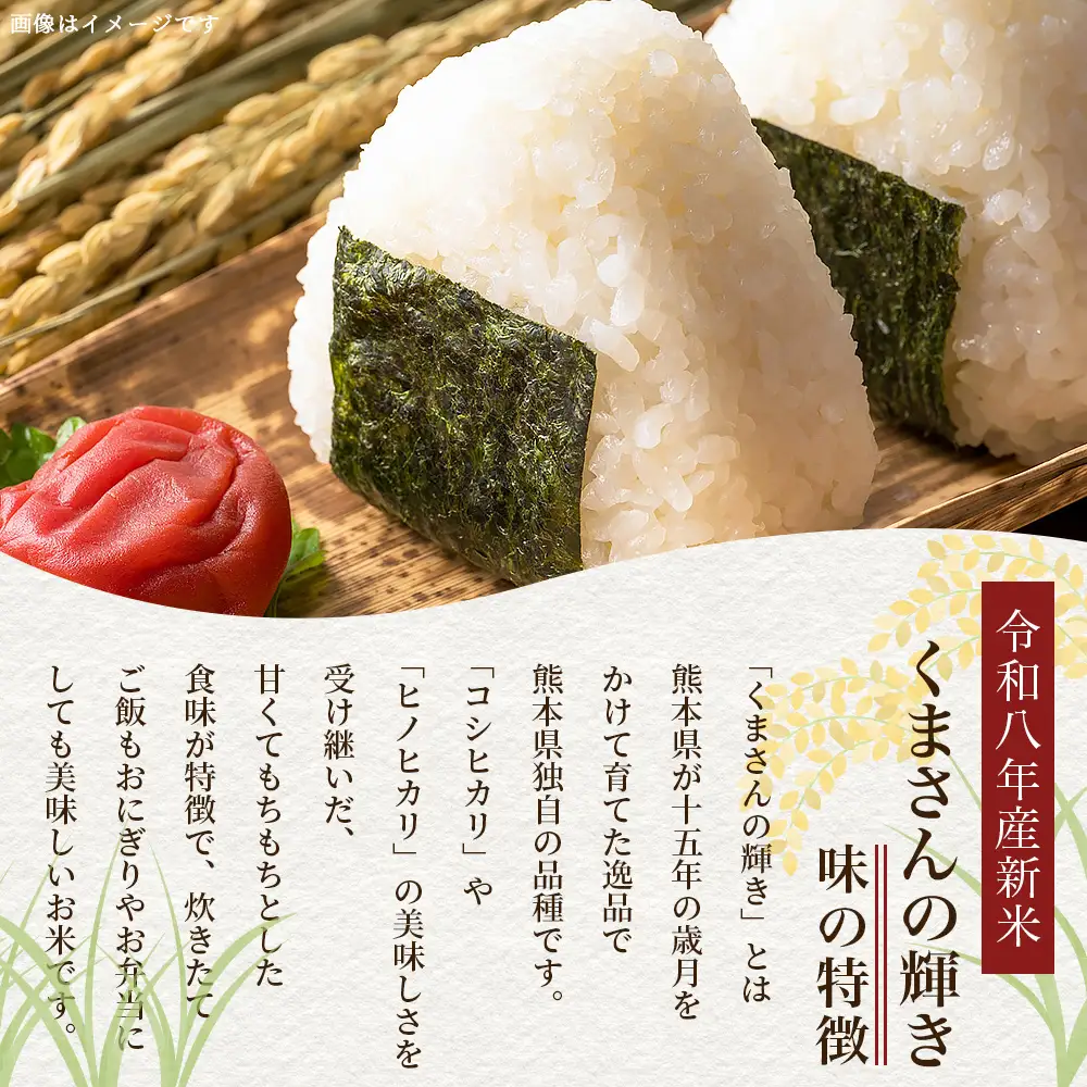 令和8年産 新米 くまさんの輝き 5kg (令和8年10月中旬～発送) 精米・玄米選べる 熊本県産 お米 107-0701