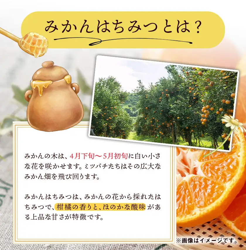 みかんはちみつ はぜはちみつ 320g 160g×2本セット (各1本) 2026年採蜜 木原養蜂園《30日以内に出荷予定(土日祝除く)》