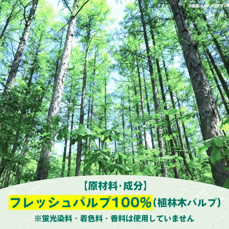 ティッシュペーパーソフトパック　４００枚（２００組）６０パック -  ティッシュ ペーパー 日用品  備蓄 防災 ストック 熊本県 甲佐町【ZC】【価格改定XB】