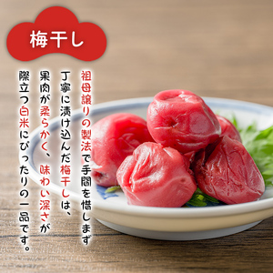 昔ながらのしょっぱい梅干し 160g×2個 うめぼし 梅 塩 赤しそ 漬物 漬け物 おかず お弁当 ご飯のお供 【三浦屋】ta526