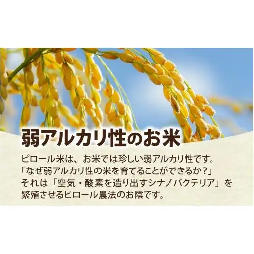 富山県滑川市産　弱アルカリ性米　「ピロール農法米　いのちの壱」精米5kg【2025年10月中旬より順次発送】 / 産地直送 袋 ブランド米 お米 米 ご飯 ごはん 富山 滑川市 アグリめぐみ 農家直送 おこめ