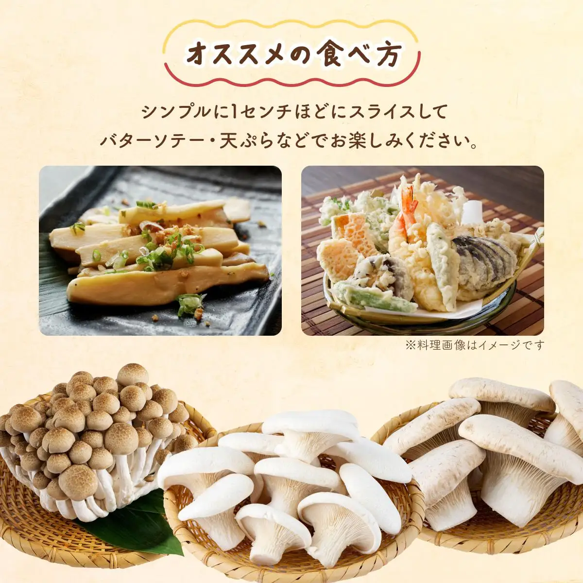 食欲の秋！きのこの詰め合わせ(ぶなしめじ・ゆきれいたけ・王リンギ各3パック)　AT16