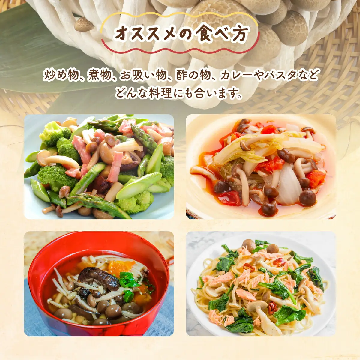 もぎたて新鮮！ぶなしめじ10株セット　AT22