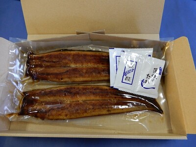 鰻 の 長蒲焼き 2尾 詰合せ (a19-013)