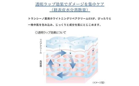 クリーム トランシーノ 薬用 ホワイトニング リペア クリーム