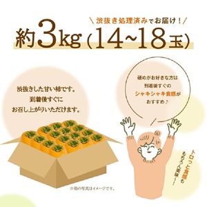 SA3040　酒田産 庄内柿　約3kg(14～18玉入)2L～3Lサイズ